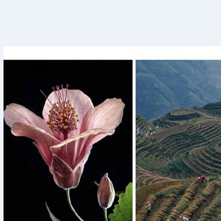 設計學校-vi設計學校