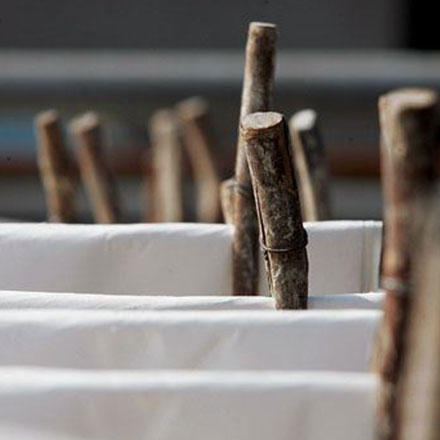 上海青浦品牌vi設計公司電話