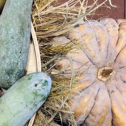 深圳品牌設計作品案例展示