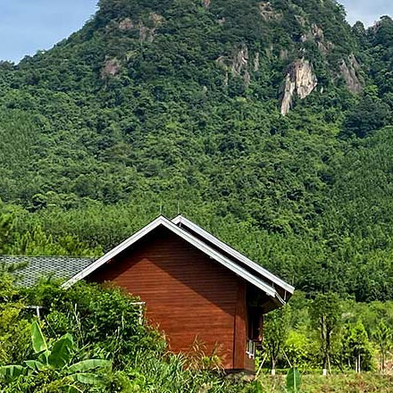 深圳品牌設計作品案例展示